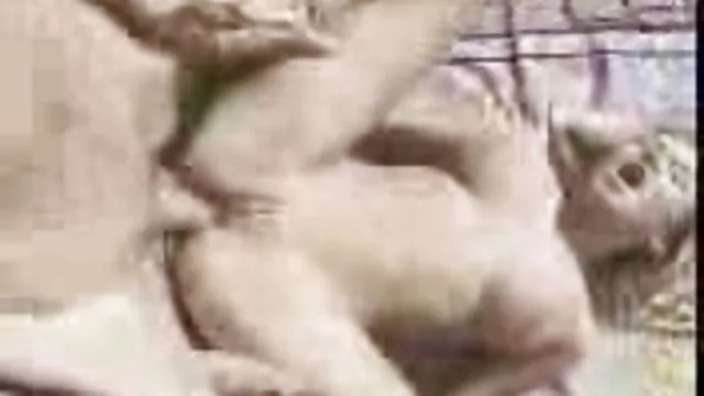 بزرگسالان بدون ثبت نام همه آنها در مادر در انجمن تازه کلیپ سکیی ورزشگاه نگاه کنید ، عادی ، او فوق العاده است.