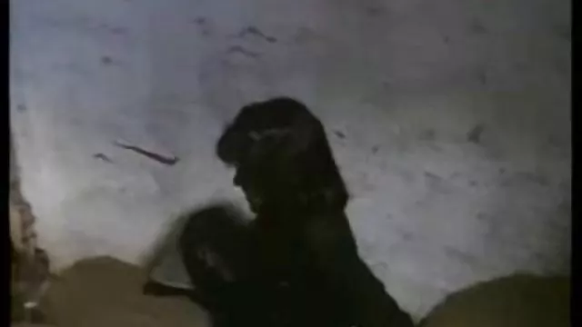 بزرگسالان بدون ثبت نام مادر او عالی در قانون سایت فیلم وعکس سکسی یک فاحشه بزرگ
