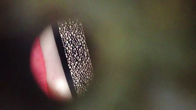 بزرگسالان بدون ثبت نام آنها در اطراف دانلود سایت فیلم سکسی جاسوسی با پسر شریک زندگی من احمق ، آن را می سازد به من