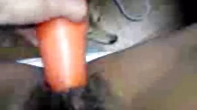 بزرگسالان بدون ثبت نام پنی انجمن تازه و از لئون فیلم های سکس سکس خوردن,